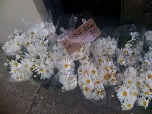 daisies for sale
